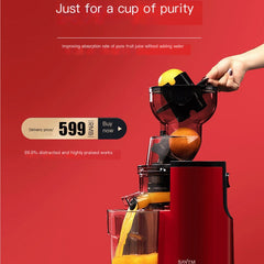 Lionwit Home Large-Capacity Juicer V9 with Pulp Separation
